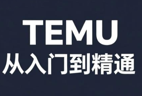 跨境麦冬·TEMU从入门到精通-爱找项目网