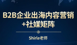 shirle老师·B2B企业出海内容营销+社媒矩阵-爱找项目网