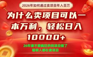 一单净利润1K+，26年想年入100个W，死磕卖项目就够了【揭秘】-爱找项目网
