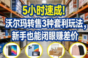 5小时速成！沃尔玛转售3种套利玩法，新手也能闭眼賺差价-爱找项目网