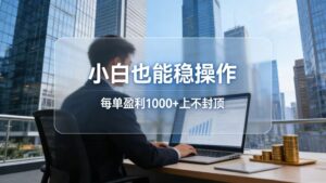 2026新项目，小白也能稳操作，每单盈利1000+上不封顶-爱找项目网