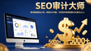 SEO审计大师：教你精通网站分析，修复SEO问题，为有效的审核收费5000美元以上！-爱找项目网