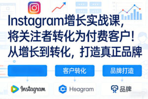 Instagram增长实战课，将关注者转化为付费客户！从增长到转化，打造真正品牌(双语字幕)-爱找项目网