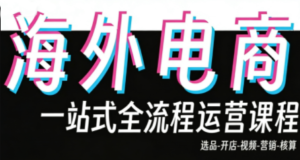 Demo老师·东南亚5国TikTok Shop运营课-爱找项目网