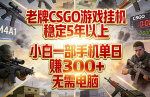 老牌CSGO游戏挂G，稳定5年以上，小白一部手机单日賺3张+，无需电脑【揭秘】-爱找项目网
