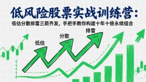 低风险股票实战训练营：低估分散排雷三箭齐发，手把手教你构建十年十倍永续组合-爱找项目网