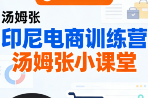 Jack老师·印尼电商训练营+汤姆张小课堂-爱找项目网