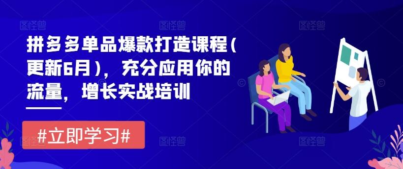 拼多多单品爆款打造课程(更新6月)，充分应用你的流量，增长实战培训-爱找项目网
