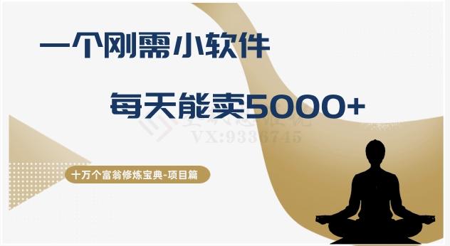 十万个富翁修炼宝典之17.一个刚需小软件，每天能卖5000+-爱找项目网