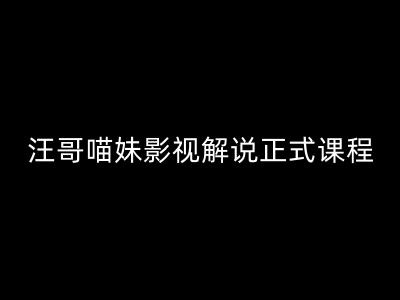 汪哥影视解说正式课程：剪映/PR教学/视解说剪辑5大黄金法则/全流程剪辑7把利器等等-爱找项目网