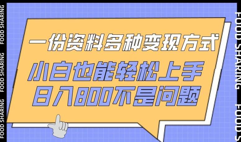 一份资料多种变现方式，小白也能轻松上手，日入800不是问题【揭秘】-爱找项目网