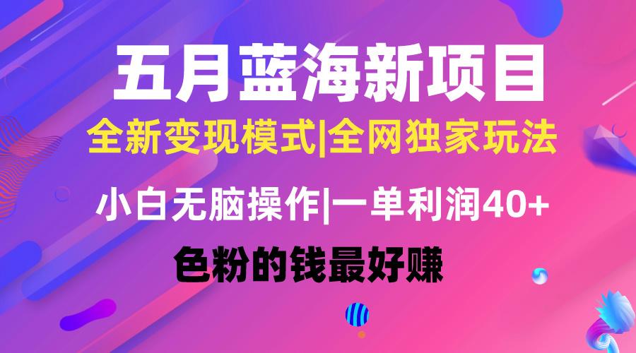 五月蓝海项目全新玩法，小白无脑操作，一天几分钟，矩阵操作，月入4万+-爱找项目网