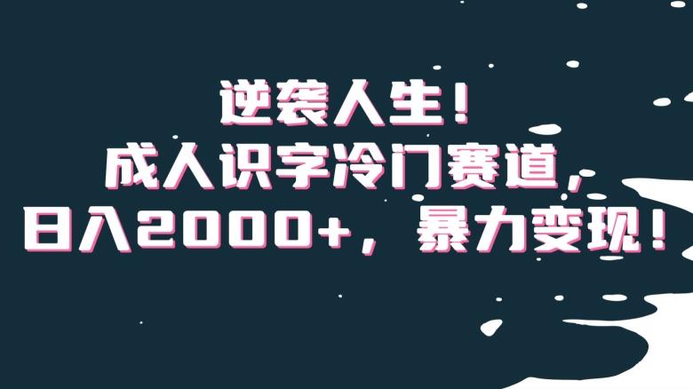 逆袭人生！成人识字冷门赛道，日入2000+，暴力变现！【揭秘】-爱找项目网