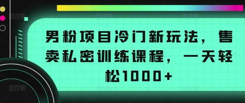 男粉项目冷门新玩法，售卖私密训练课程，一天轻松1000+【揭秘】-爱找项目网