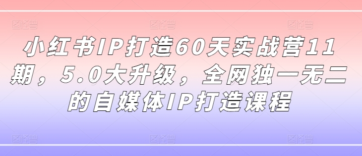 小红书IP打造60天实战营11期，5.0大升级，全网独一无二的自媒体IP打造课程-爱找项目网