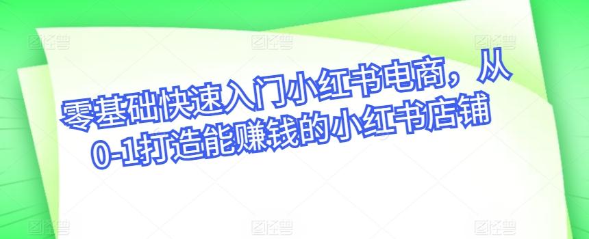 零基础快速入门小红书电商，从0-1打造能赚钱的小红书店铺-爱找项目网