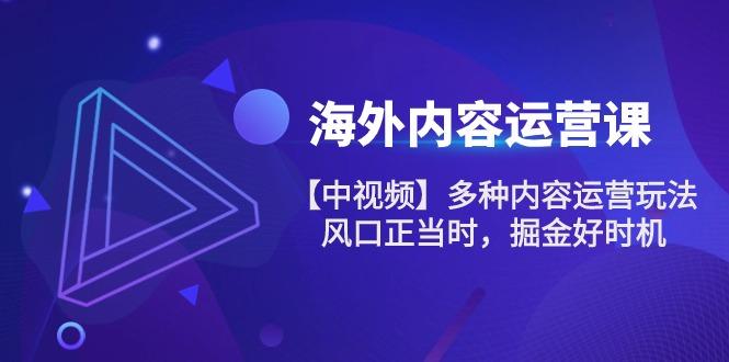 海外内容 运营课【中视频】多种内容运营玩法 风口正当时 掘金好时机-101节-爱找项目网