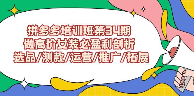 (9333期)拼多多培训班第34期：做高价女装必盈利剖析  选品/测款/运营/推广/拓展-爱找项目网