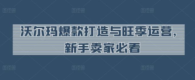 沃尔玛爆款打造与旺季运营，新手卖家必看-爱找项目网