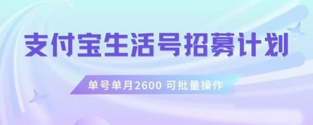 支付宝生活号作者招募计划，单号单月2600，可批量去做，工作室一人一个月轻松1w+【揭秘】-爱找项目网