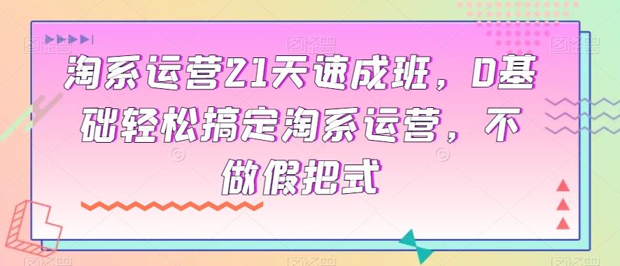 淘系运营21天速成班，0基础轻松搞定淘系运营，不做假把式-爱找项目网