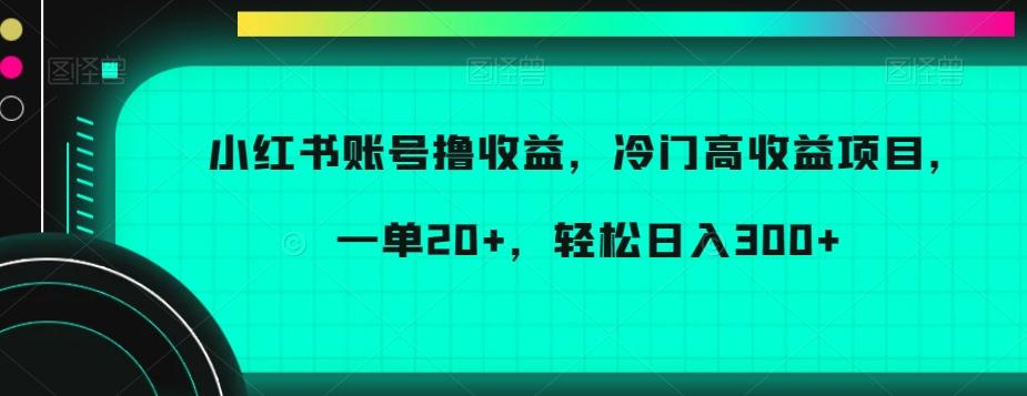 小红书账号撸收益，冷门高收益项目，一单20+，轻松日入300+【揭秘】-爱找项目网