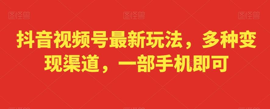抖音视频号最新玩法，多种变现渠道，一部手机即可-爱找项目网