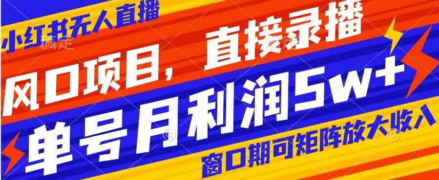 风口项目，小红书无人直播带货，直接录播，可矩阵，月入5w+【揭秘】-爱找项目网
