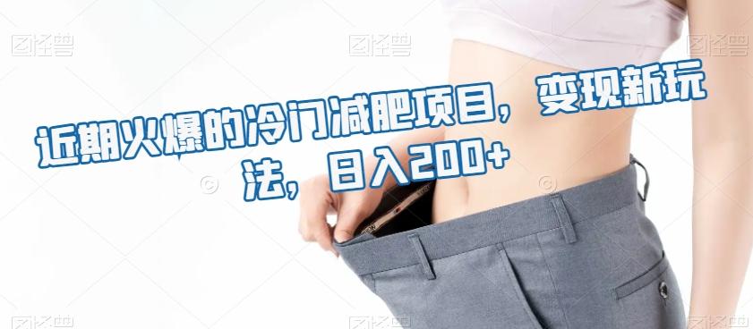 近期火爆的冷门减肥项目，变现新玩法，日入200+-爱找项目网