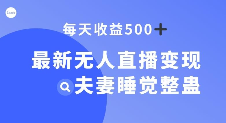 最新无人直播变现，夫妻睡觉整蛊，每天躺赚500+【揭秘】-爱找项目网