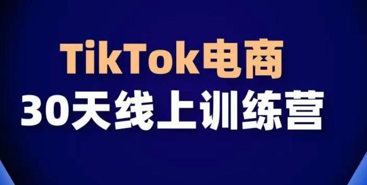 TikTok电商带货30天线上课，不可错过的全球流量洼地！-爱找项目网