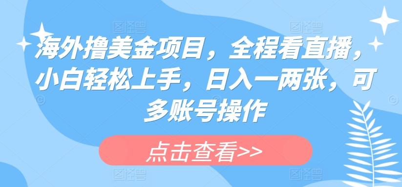 海外撸美金项目，全程看直播，小白轻松上手，日入一两张，可多账号操作【揭秘】-爱找项目网
