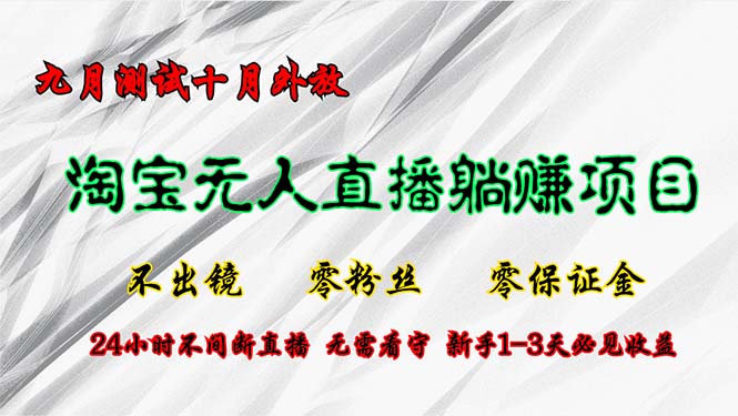 淘宝无人直播最新玩法，九月测试十月外放，不出镜零粉丝零保证金，24小…-爱找项目网