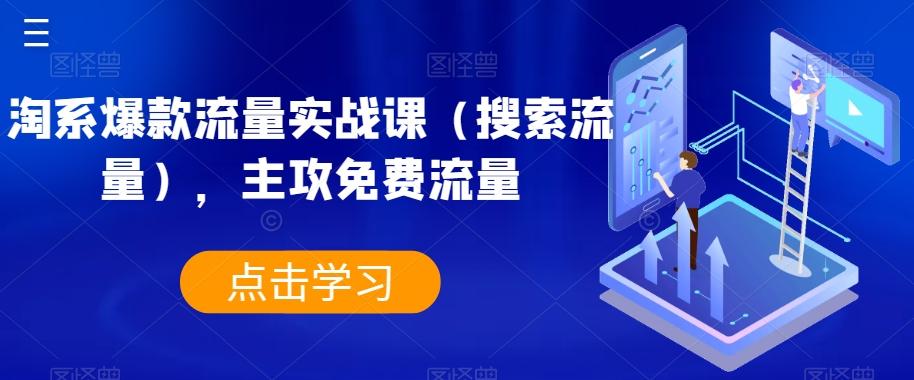 淘系爆款流量实战课（搜索流量），主攻免费流量-爱找项目网