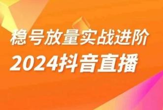 稳号放量实战进阶—2024抖音直播，直播间精细化运营的几大步骤-爱找项目网