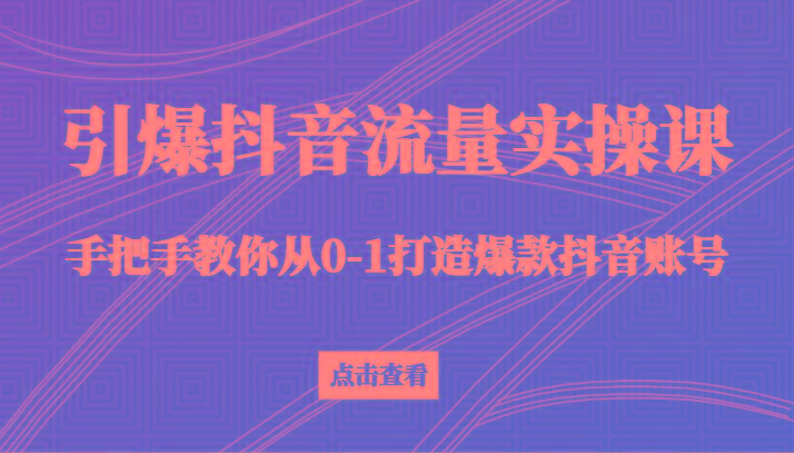 引爆抖音流量实操课，手把手教你从0-1打造爆款抖音账号(27节课)-爱找项目网