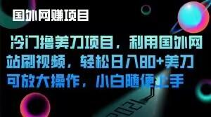 冷门撸美刀项目，利用国外网站刷视频，轻松日入80+美刀，可放大操作，小白随便上手-爱找项目网