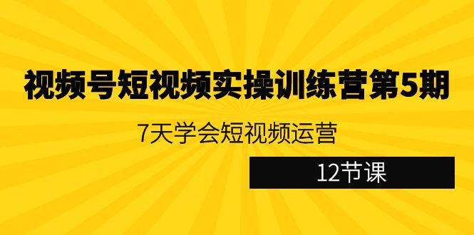 视频号短视频实操训练营第5期：7天学会短视频运营(12节课)-爱找项目网
