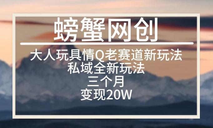 大人玩具情Q用品赛道私域全新玩法，三个月变现20W，老项目新思路【揭秘】-爱找项目网