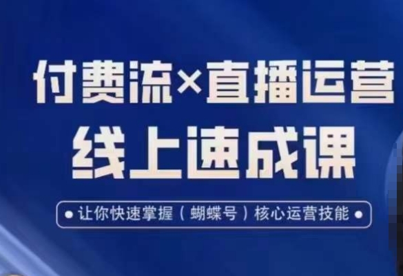 视频号付费流实操课程，付费流✖️直播运营速成课，让你快速掌握视频号核心运营技能-爱找项目网