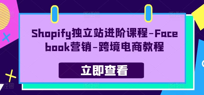 Shopify独立站进阶课程-Facebook营销-跨境电商教程-爱找项目网