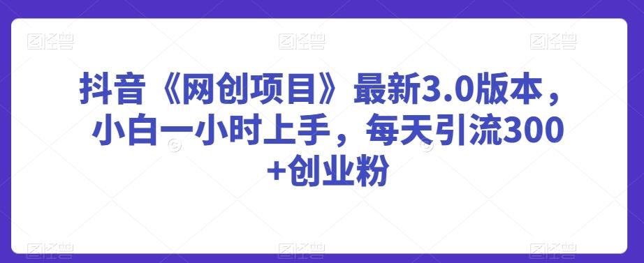 抖音《网创项目》最新3.0版本，小白一小时上手，每天引流300+创业粉【揭秘】-爱找项目网