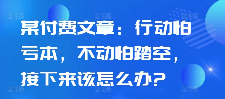 某付费文章：行动怕亏本，不动怕踏空，接下来该怎么办?-爱找项目网