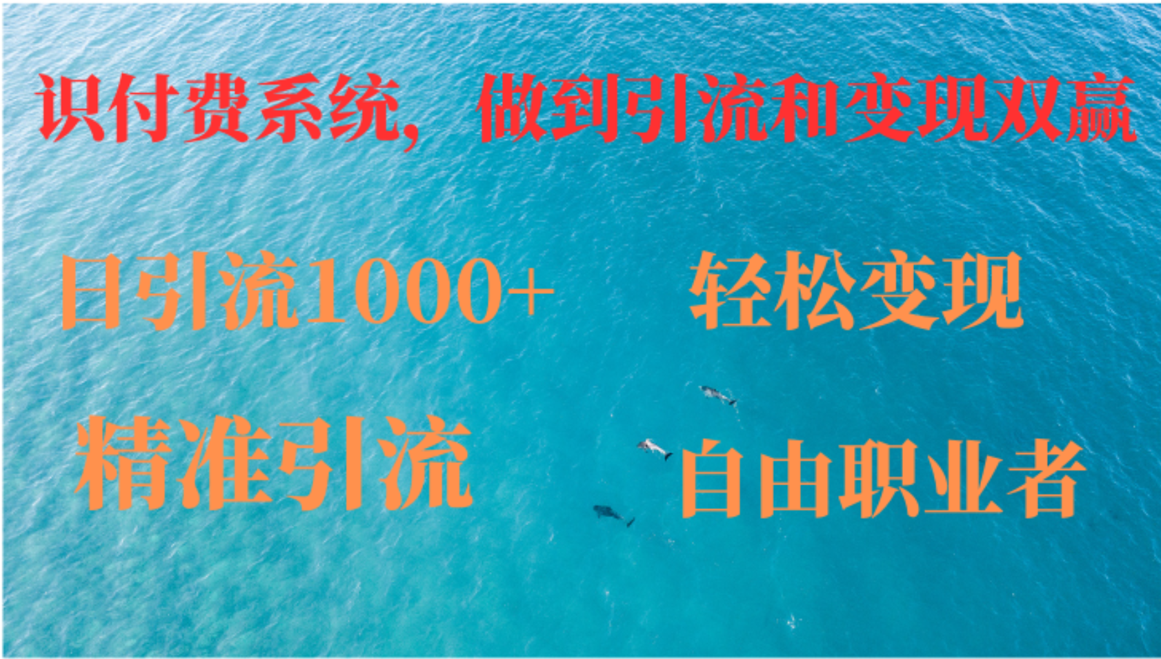 如何搭建自己的知识付费系统，做到引流和变现双赢-爱找项目网