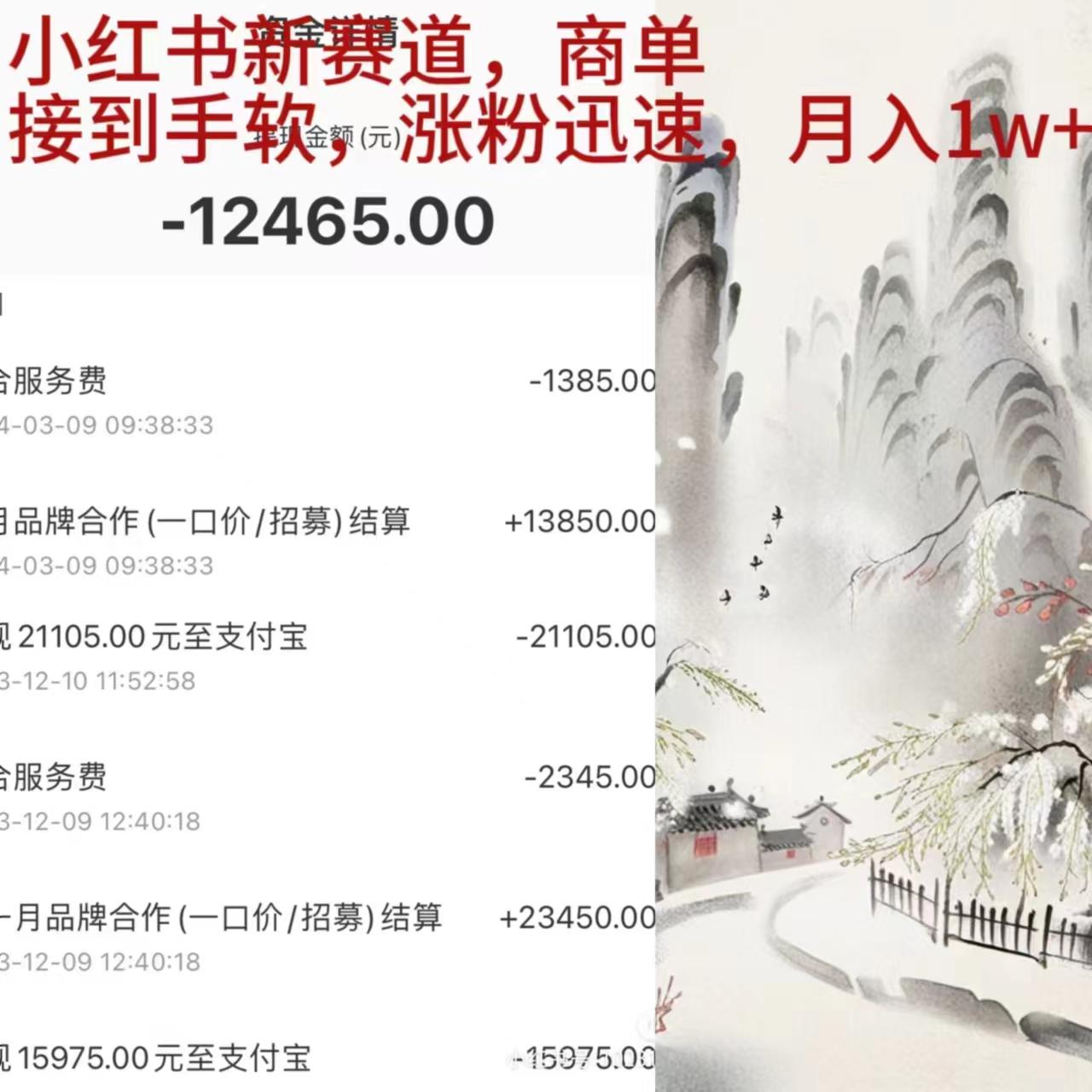 (9476期)小红书新赛道，商单接到手软，涨粉迅速，月入1w+-爱找项目网