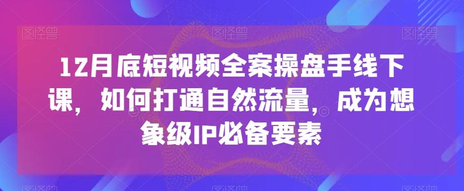 12月底短视频全案操盘手线下课，如何打通自然流量，成为想象级IP必备要素-爱找项目网