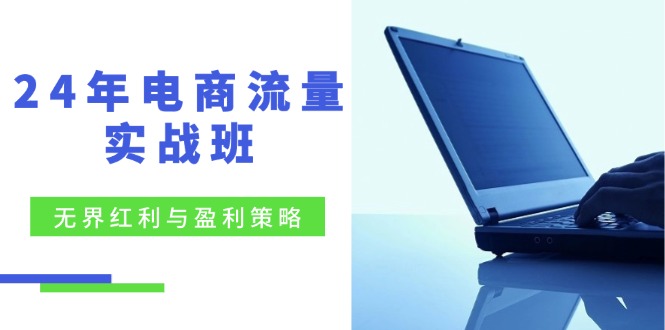 24年电商流量实战班：无界 红利与盈利策略，终极提升/关键词优化/精准…-爱找项目网