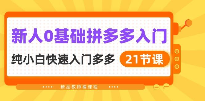 新人0基础拼多多入门，​纯小白快速入门多多(21节课-爱找项目网