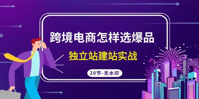 (9369期)跨境电商怎样选爆品，独立站建站实战(20节高清无水印课)-爱找项目网