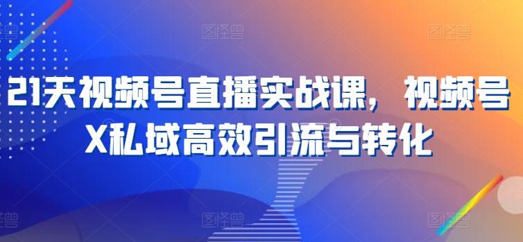 21天视频号直播实战课，视频号X私域高效引流与转化-爱找项目网